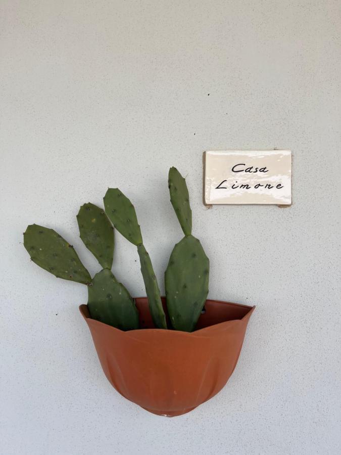 Borgo Tortorella By Il Pumo Di Puglia モノーポリ エクステリア 写真